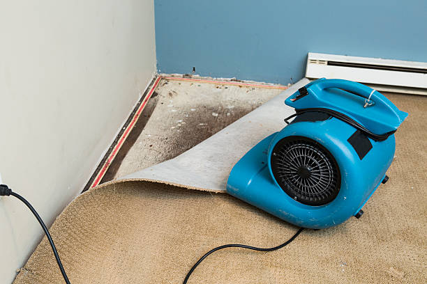 Best 24-hour water damage restoration  in Linden, AL